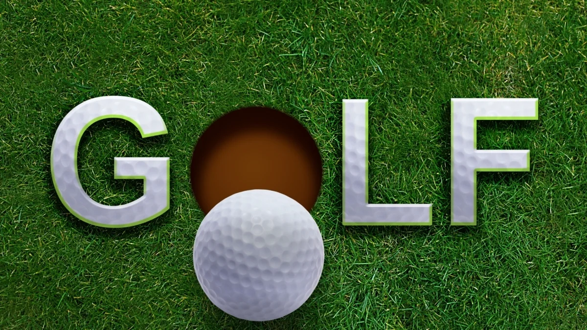 Lowry celebrates after scoring an ace on the 17th hole during the third round of the Players